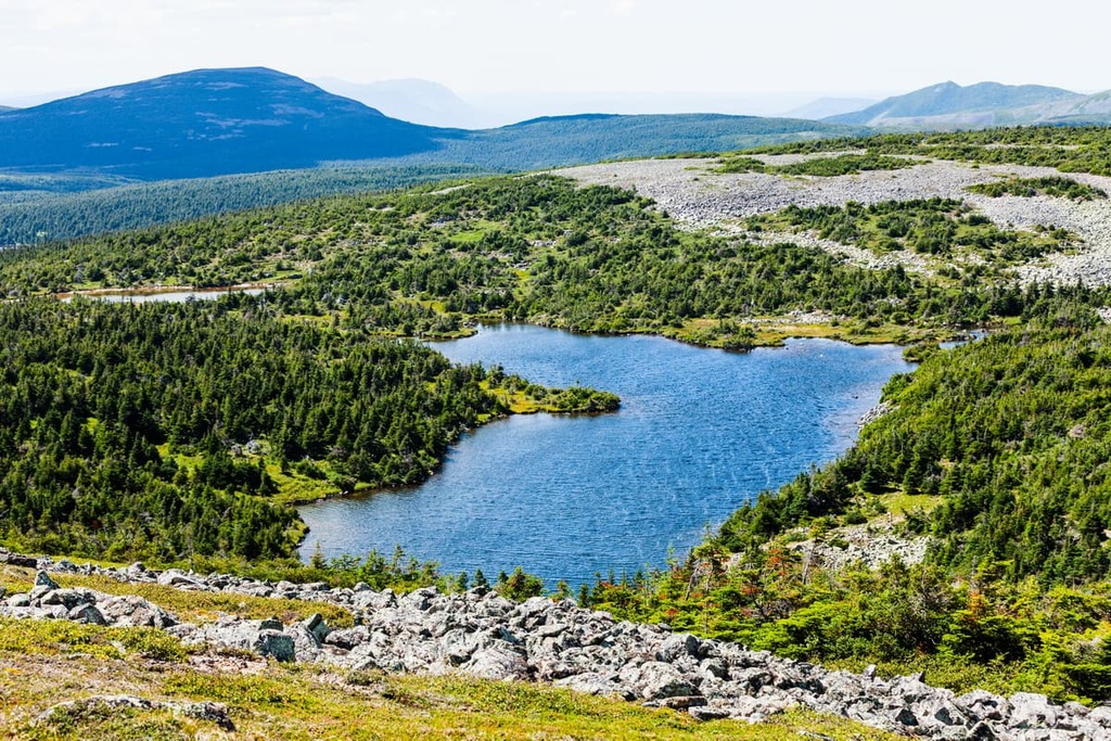 Mont Jacques-Cartier, Parc national de la Gaspesie, Quebec, Canada