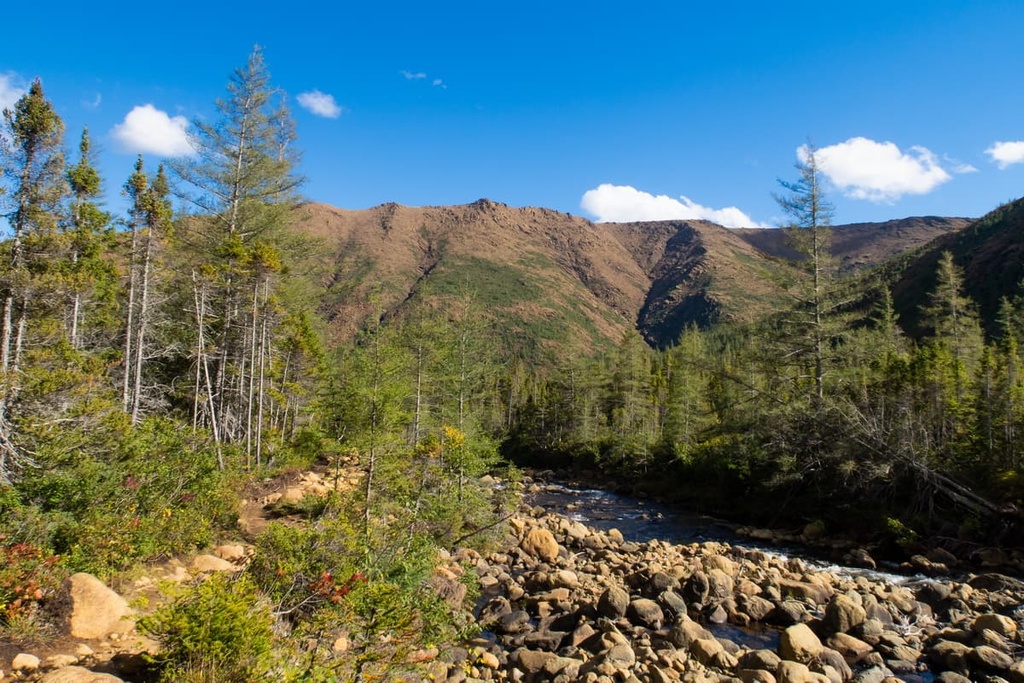 Parc national de la Gaspesie, Quebec, Canada