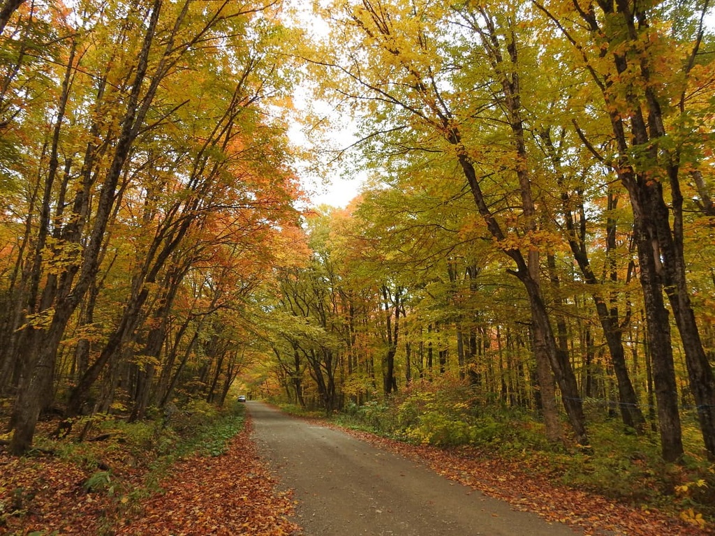Parc régional des Appalaches, Quebec
