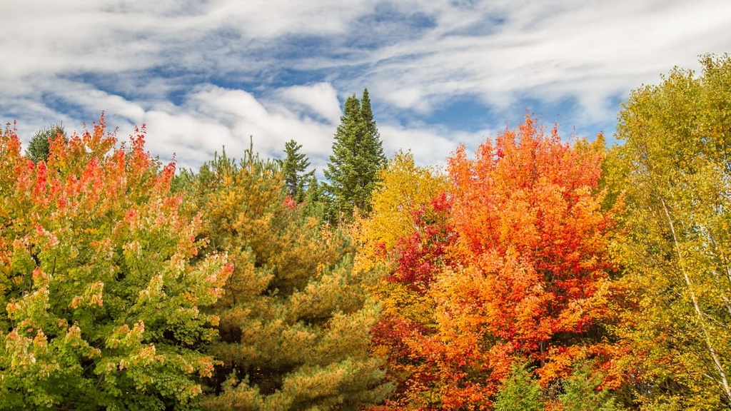 Parc régional des Appalaches, Quebec