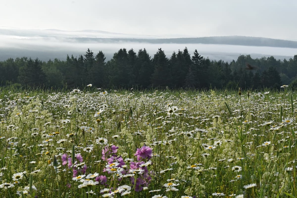Parc régional des Appalaches, Quebec