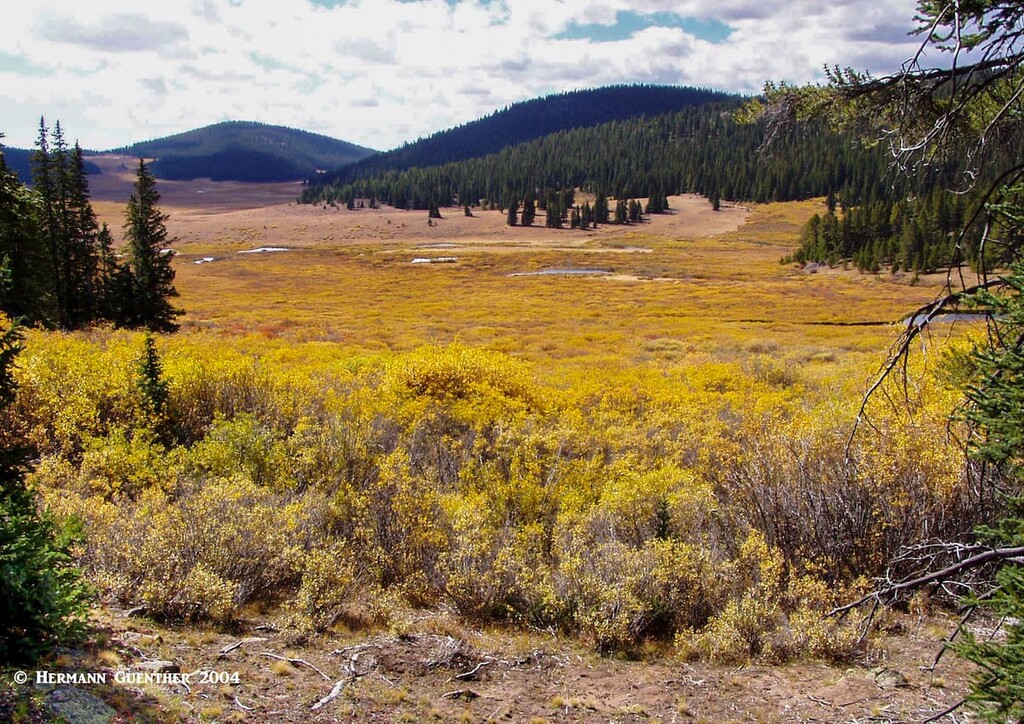 Buffalo Meadows, Park County, Colorado
