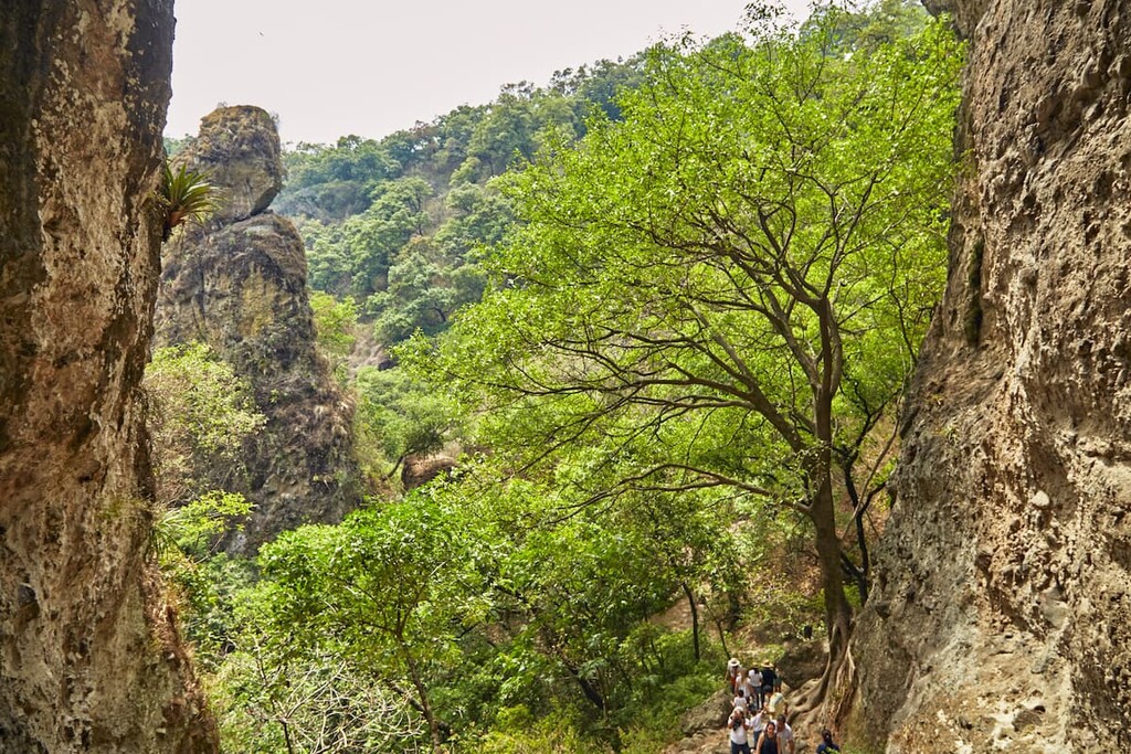 Forest, Parque Nacional El Tepozteco, Mexico