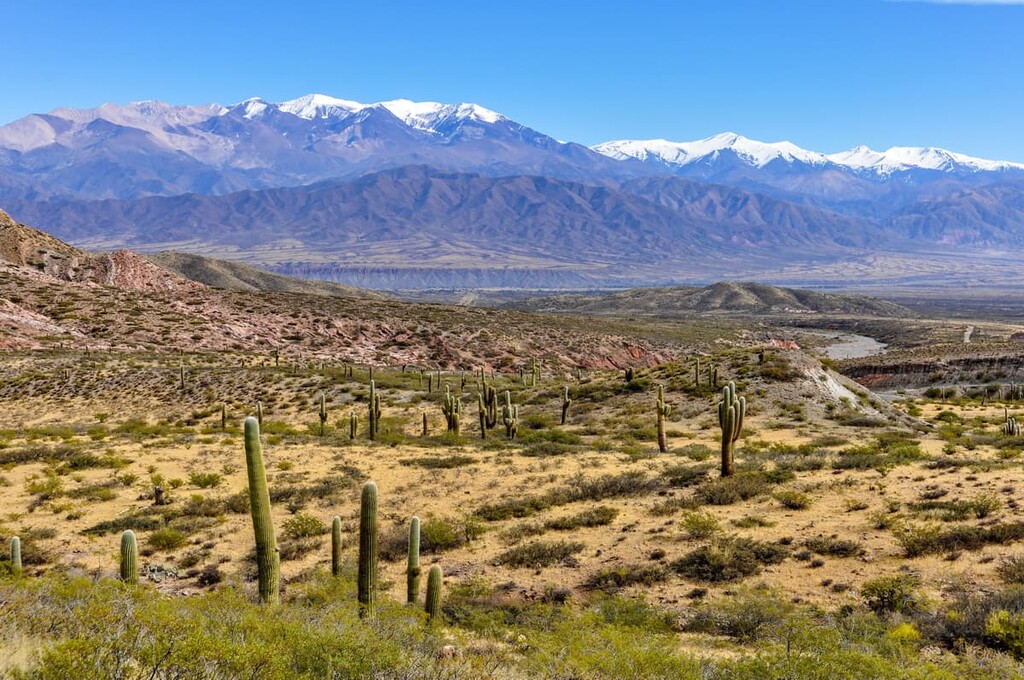 Parque Nacional Los Cardones, Argentina