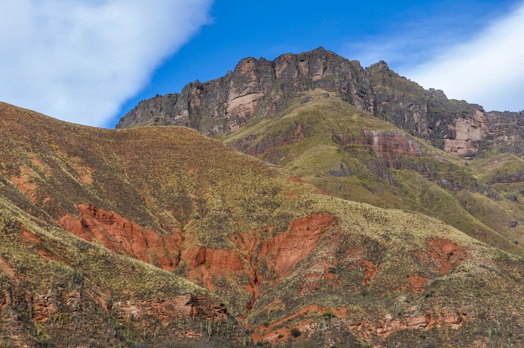 Parque Nacional Los Cardones, Argentina