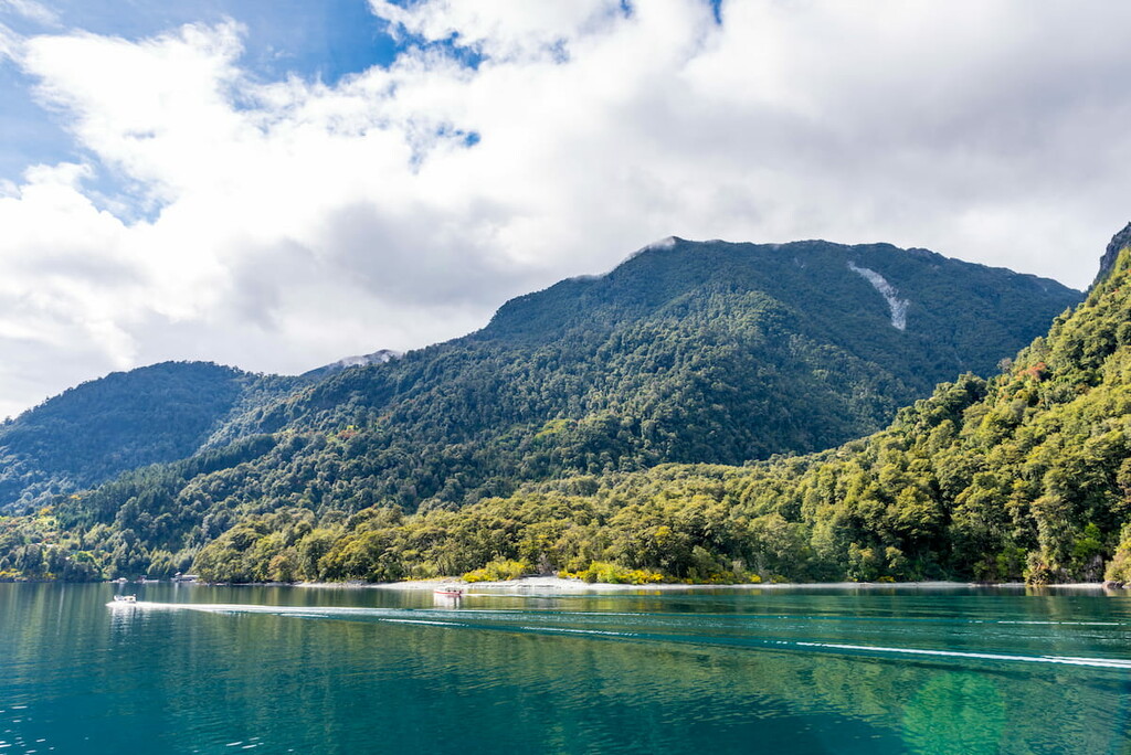 Beautiful Nature of the Vicente Perez Rosales National Park, Chile