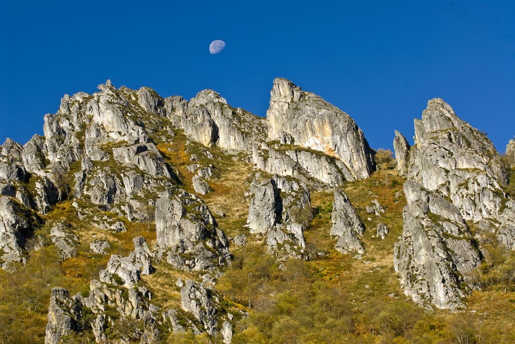 Parque Natural de Ponga, Spain