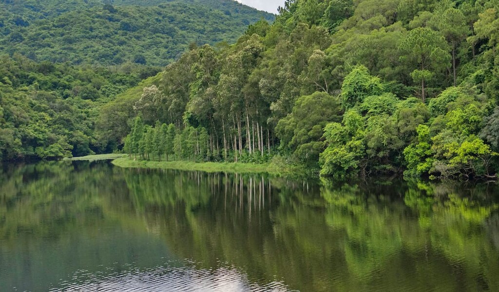 Lau Shui Heung Reservoir, Pat Sin Leng Country Park, China