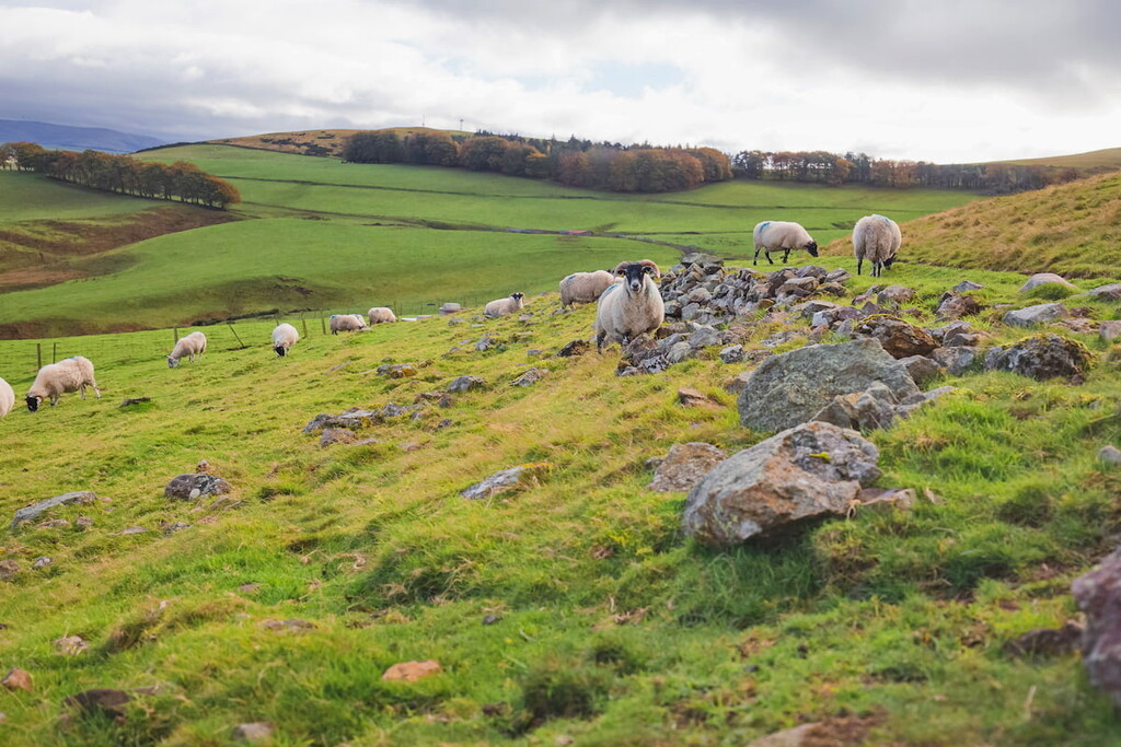 Pentland Hills Regional Park, Scotland
