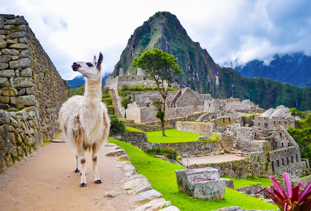 Machu Picchu Historic Sanctuary, Peru