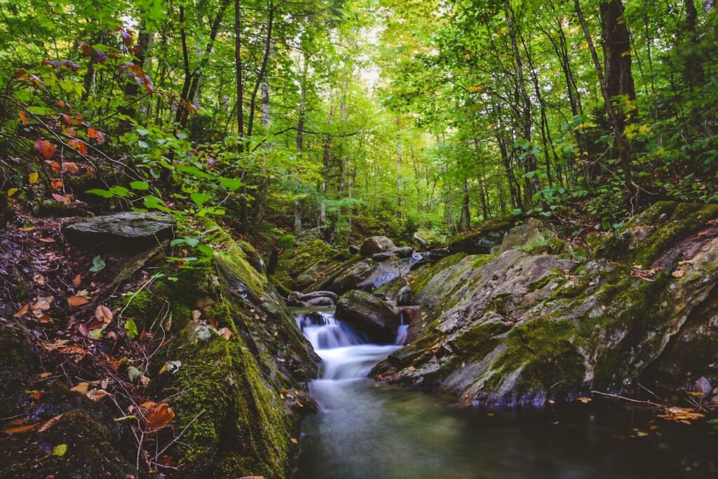 Peru Peak Wilderness, Green Mountain, Vermont