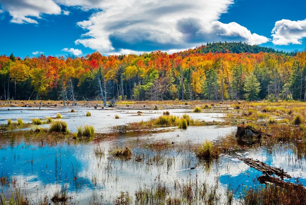 Pharaoh Lake Wilderness, New York