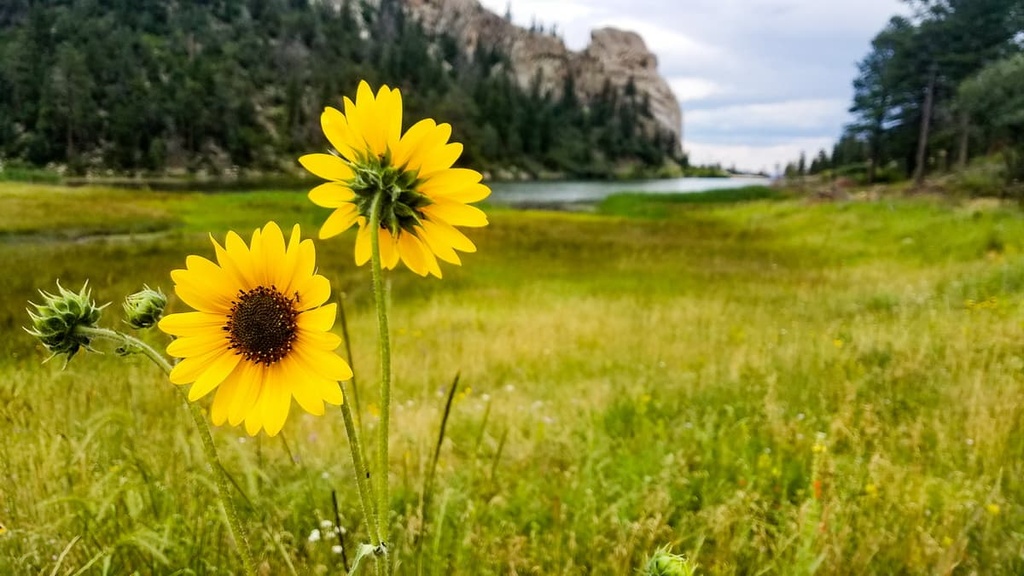 Philmont Scout Ranch, New Mexico
