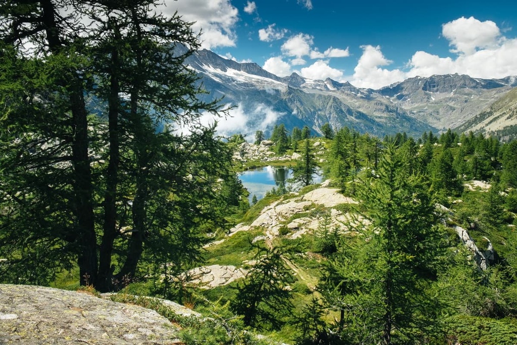 Gran Paradiso National Park, Piedmont, Italy