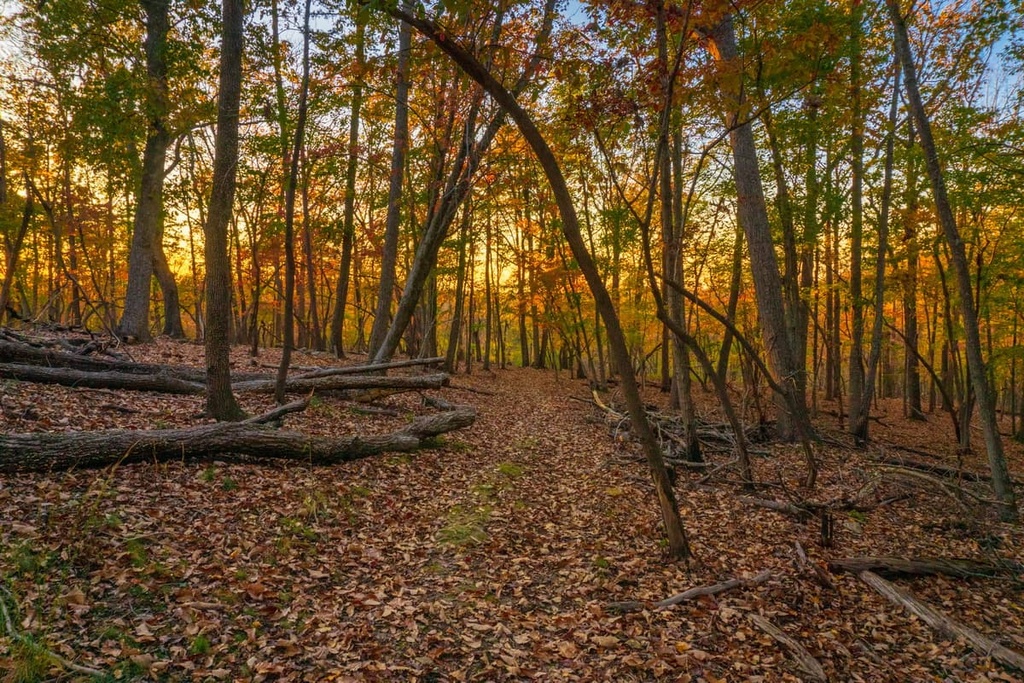 Piedmont, Morrow Mountain State Park, North Carolina