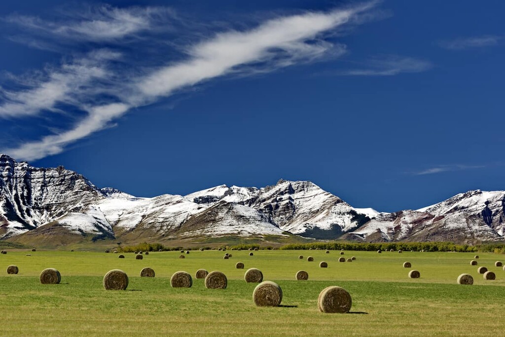  Grasslands, Municipal District of Pincher Creek, Alberta
