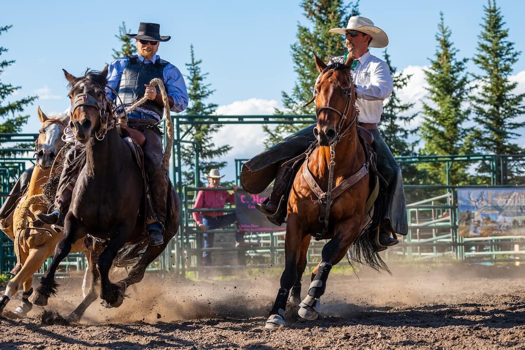 Rodeo and Bronco Riding at Pincher Creek , Municipal District of Pincher Creek, Alberta