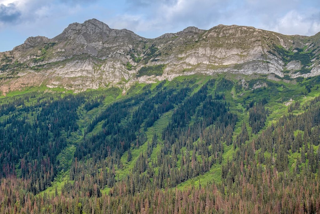 Pine Le Moray Provincial Park, Regional District of Fraser-Fort George, Canada