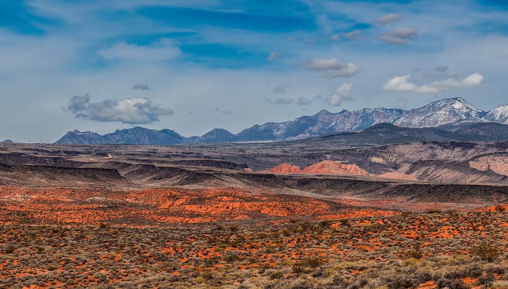 Pine Valley Mountain Wilderness Area, Utah