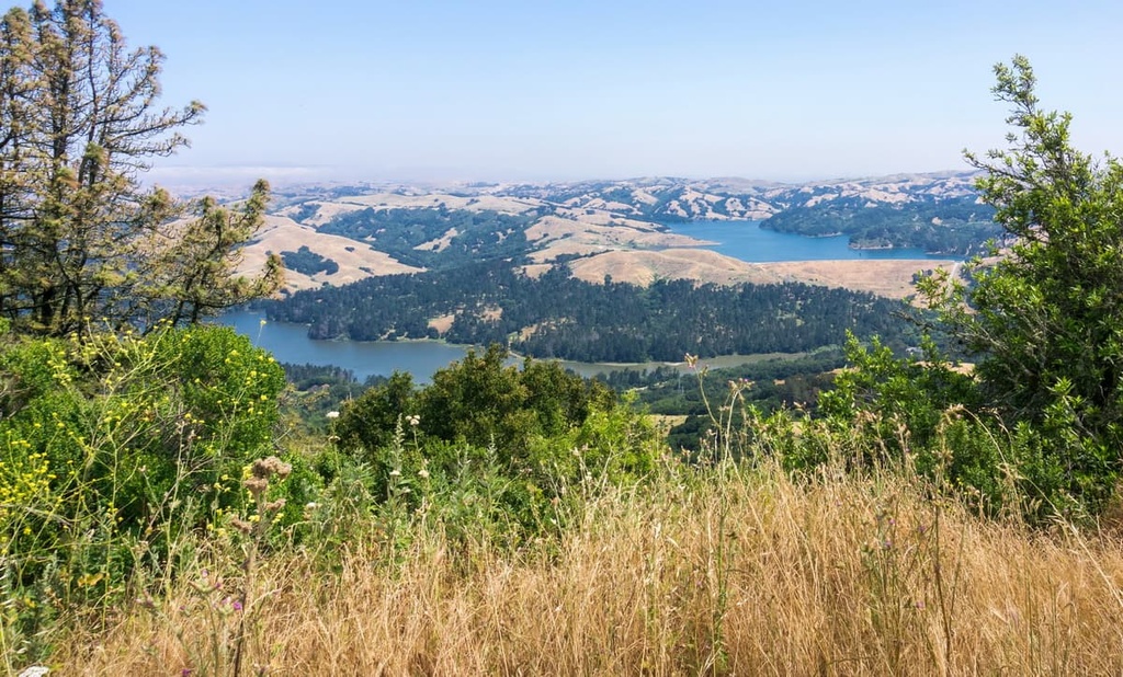Pinole Valley Watershed