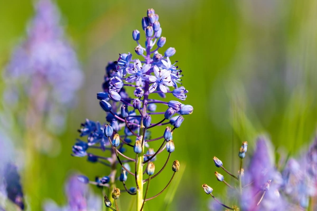 Plitvice Lakes National Park, Croatia