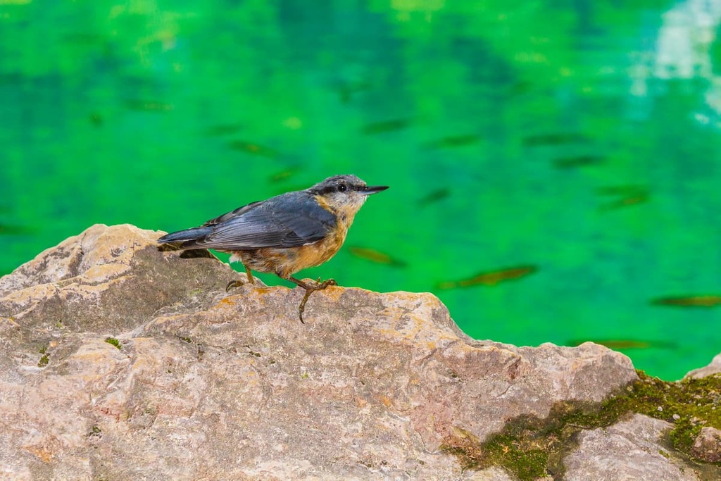 Plitvice Lakes National Park, Croatia