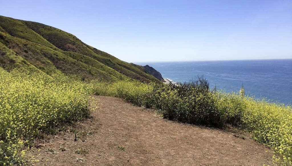 Ray Miller. Point Mugu State Park, California