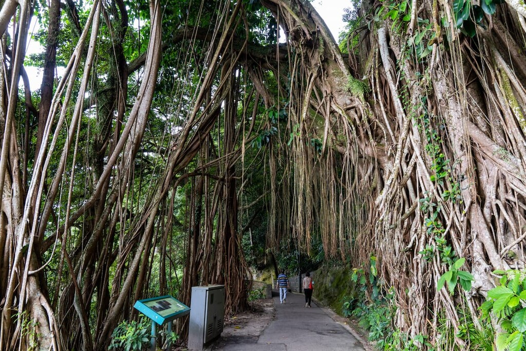 Peak Circle Walk, Pok Fu Lam Country Park, China