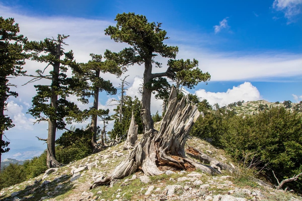 Serra Dolcedorme, Pollino National Park, Italy