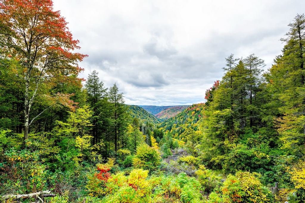 Potomac Wildlife Management Area, West Virginia