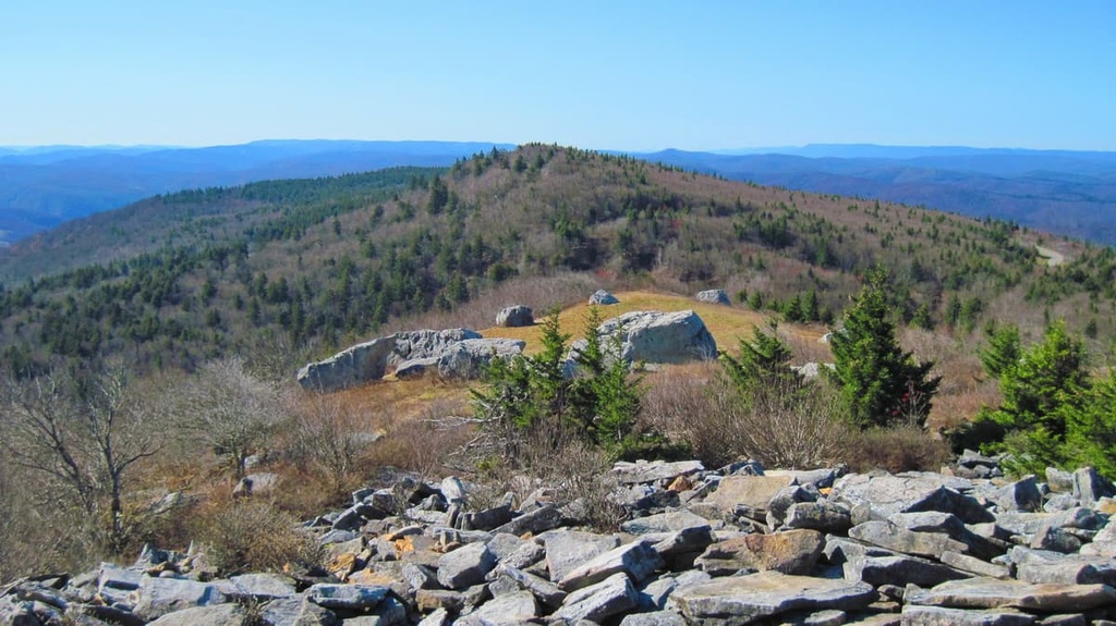 Potomac Wildlife Management Area, West Virginia
