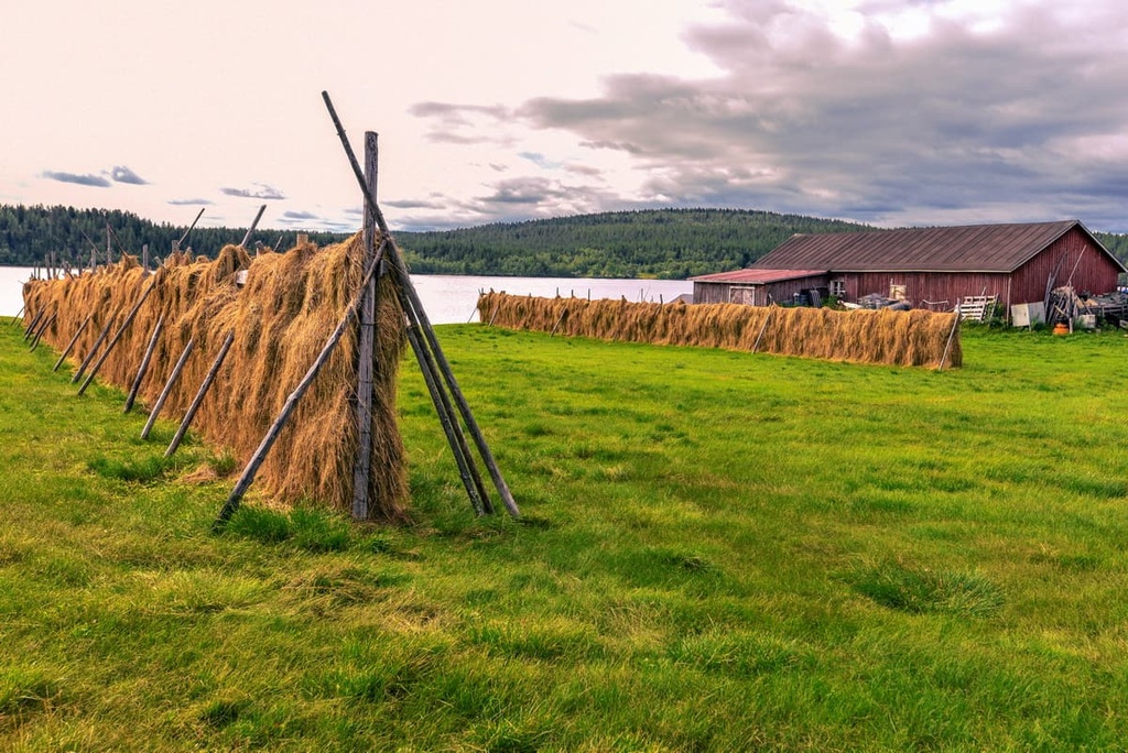   Pöyrisjärvi Wilderness Area, Finland