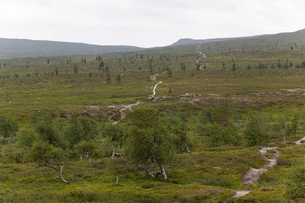 Pöyrisjärvi Wilderness Area, Finland