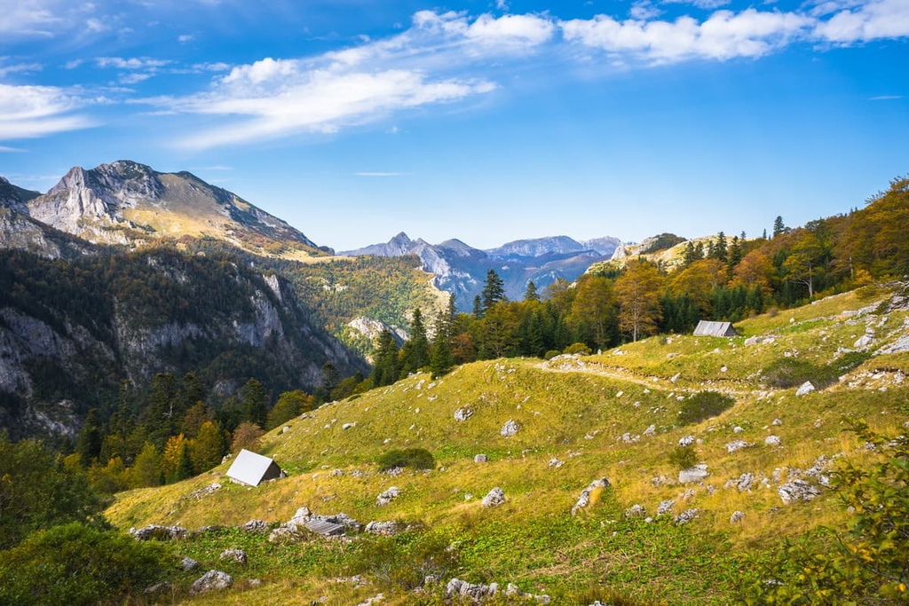 Primeval Forest Perucica, Bosnia and Herzegovina