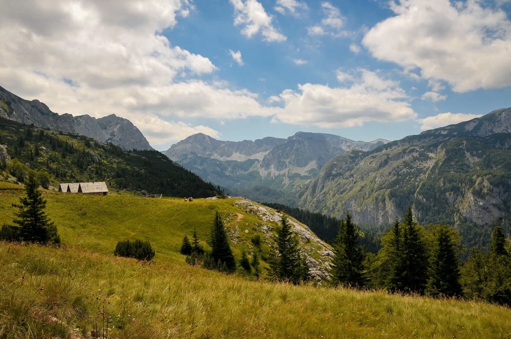 Primeval Forest Perucica, Bosnia and Herzegovina
