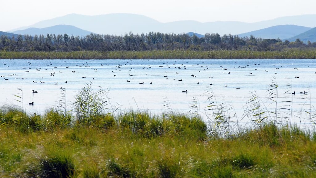 Lake Khanka, Primorsky Krai, Russi