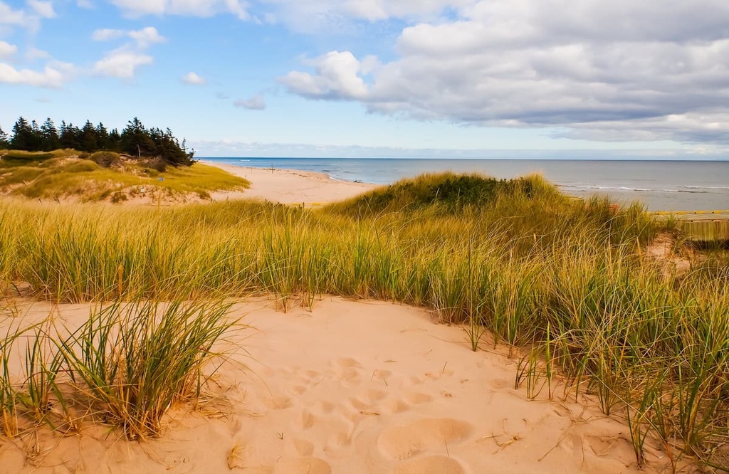 Basin Head Provincial Park, Prince Edward Island, Canada