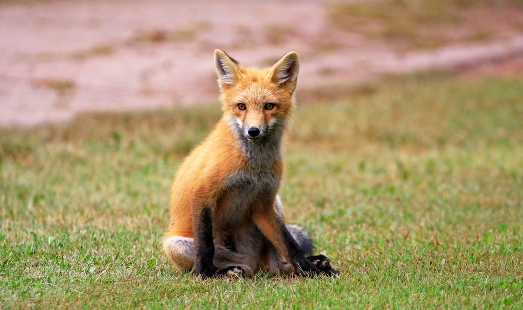 Prince Edward Island, Canada