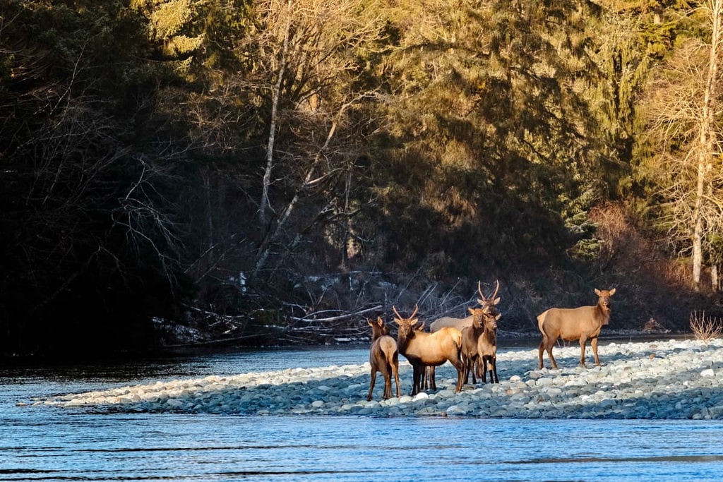 Prince of Wales Range (Canada)