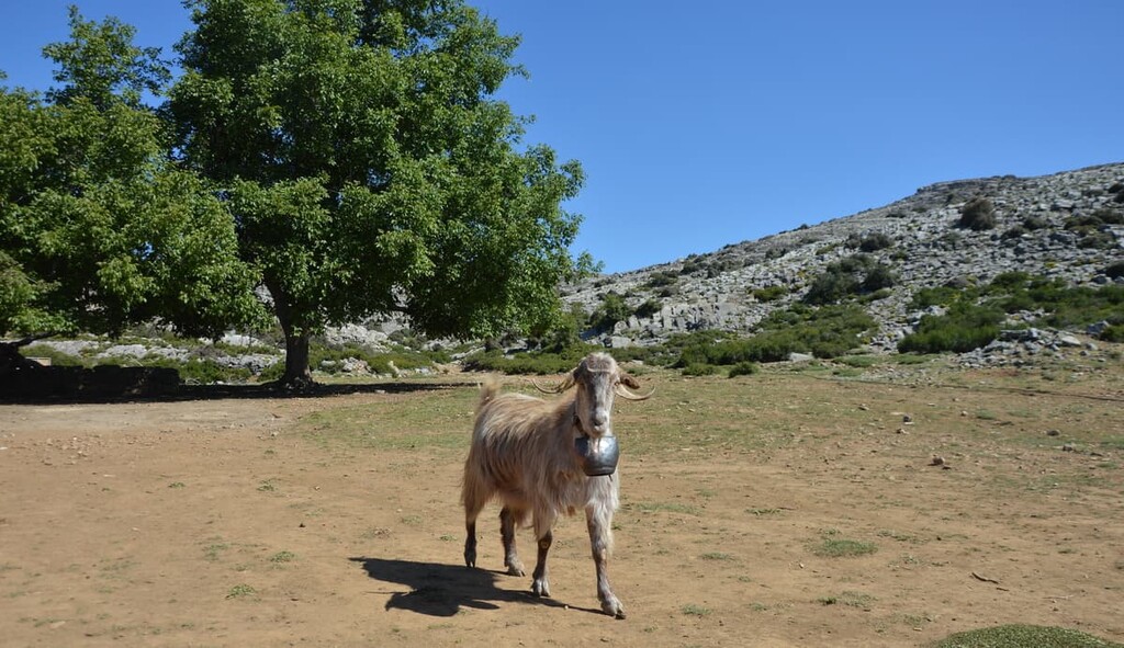 Psiloritis, Crete, Greece
