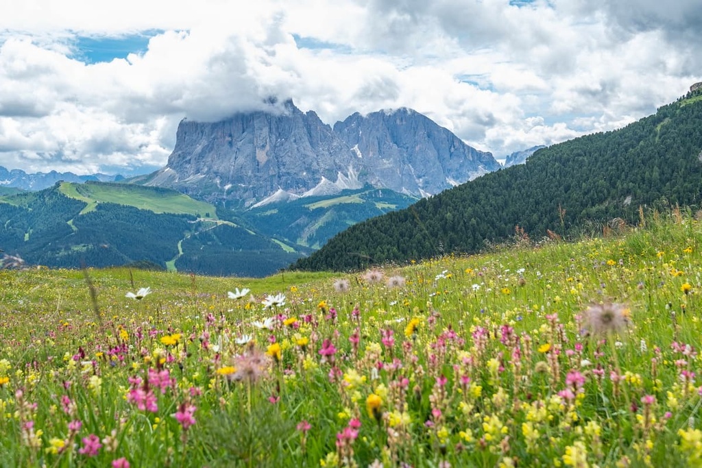 Puez-Odle Nature Park, Dolomites, Italy