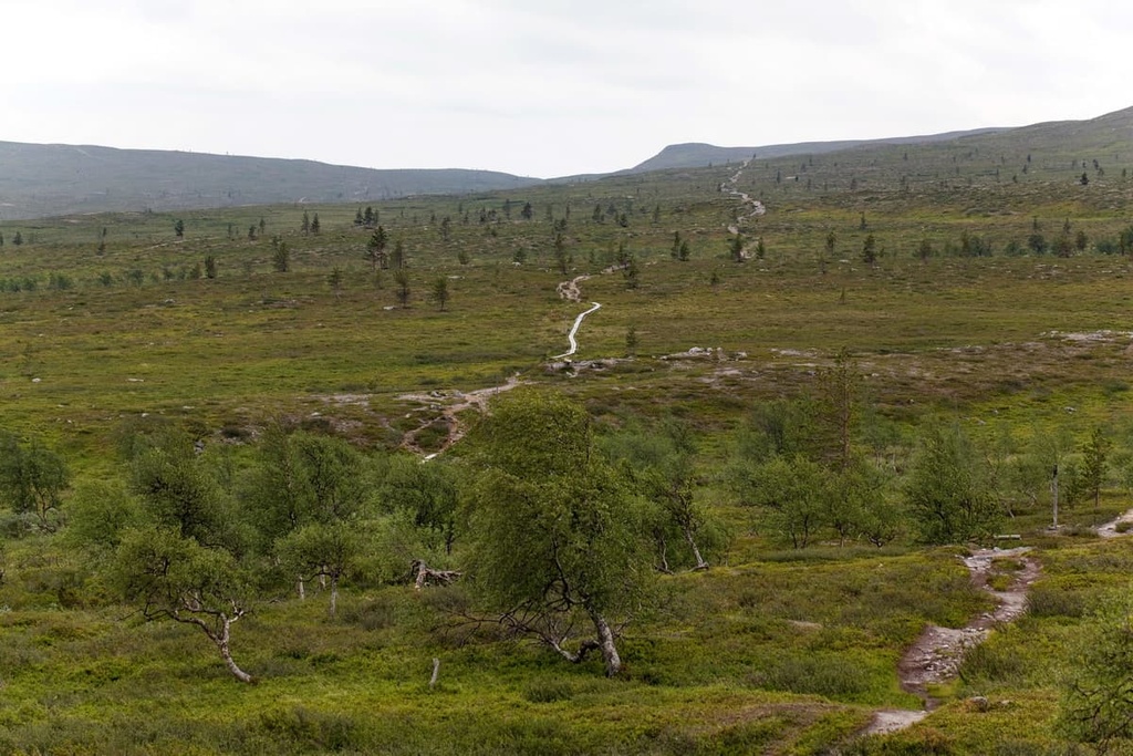 Pulju Wilderness Area, Finland