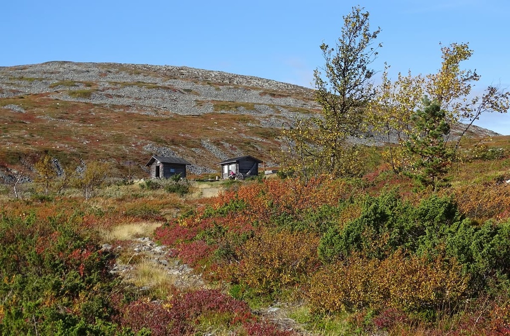 Pulju Wilderness Area, Finland