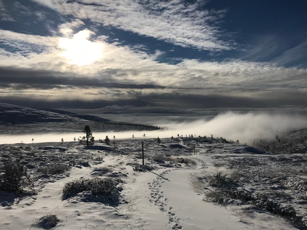 Pulju Wilderness Area, Finland