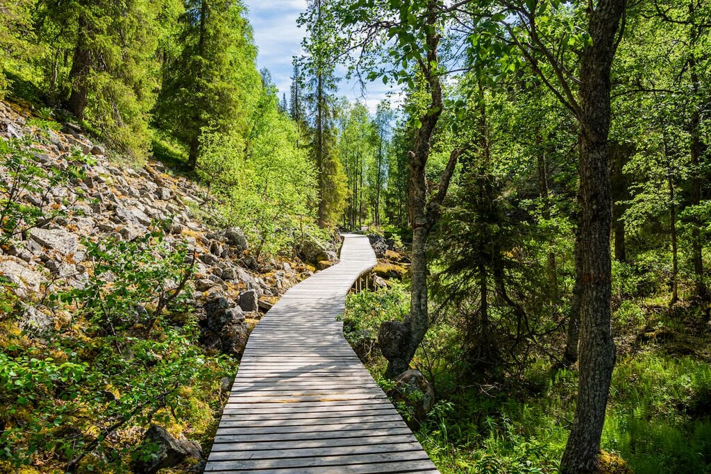 Isokuru Gorge Trail, Pyhä-Luosto National Park, Finland