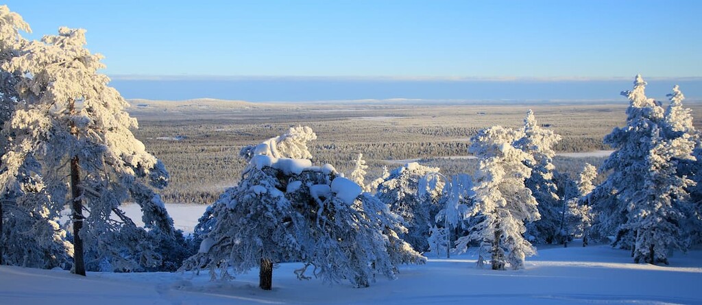 Pyhä-Luosto National Park