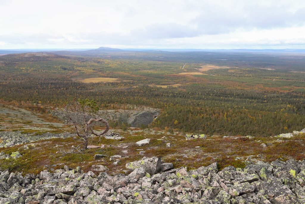 Pyhä-Luosto National Park, Finland