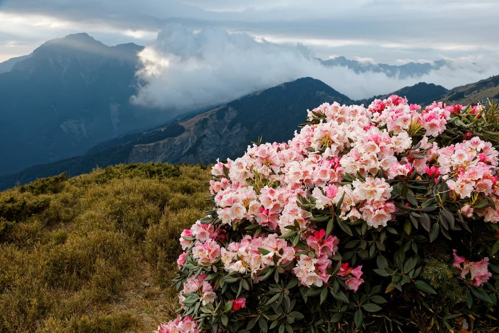  Qilai and Taroko Mountains Ecological Reserve, Taiwan