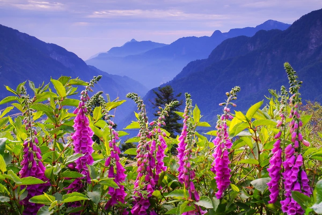 Hehuanshan, Qilai and Taroko Mountains Ecological Reserve, Taiwan