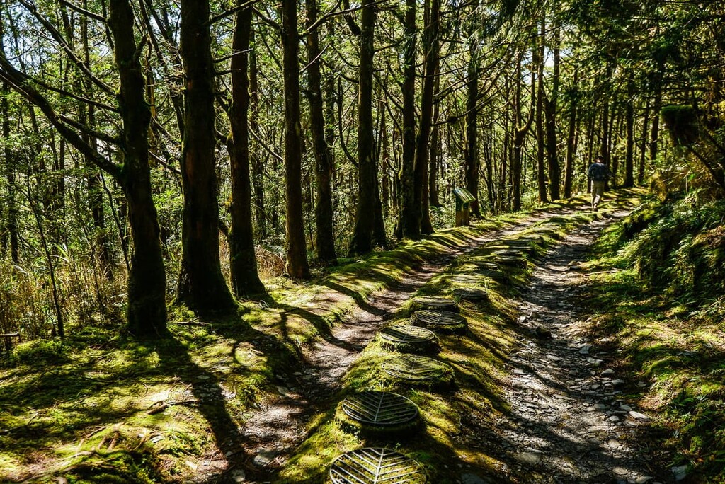 Qilan Wildlife Reserve, Taiwan